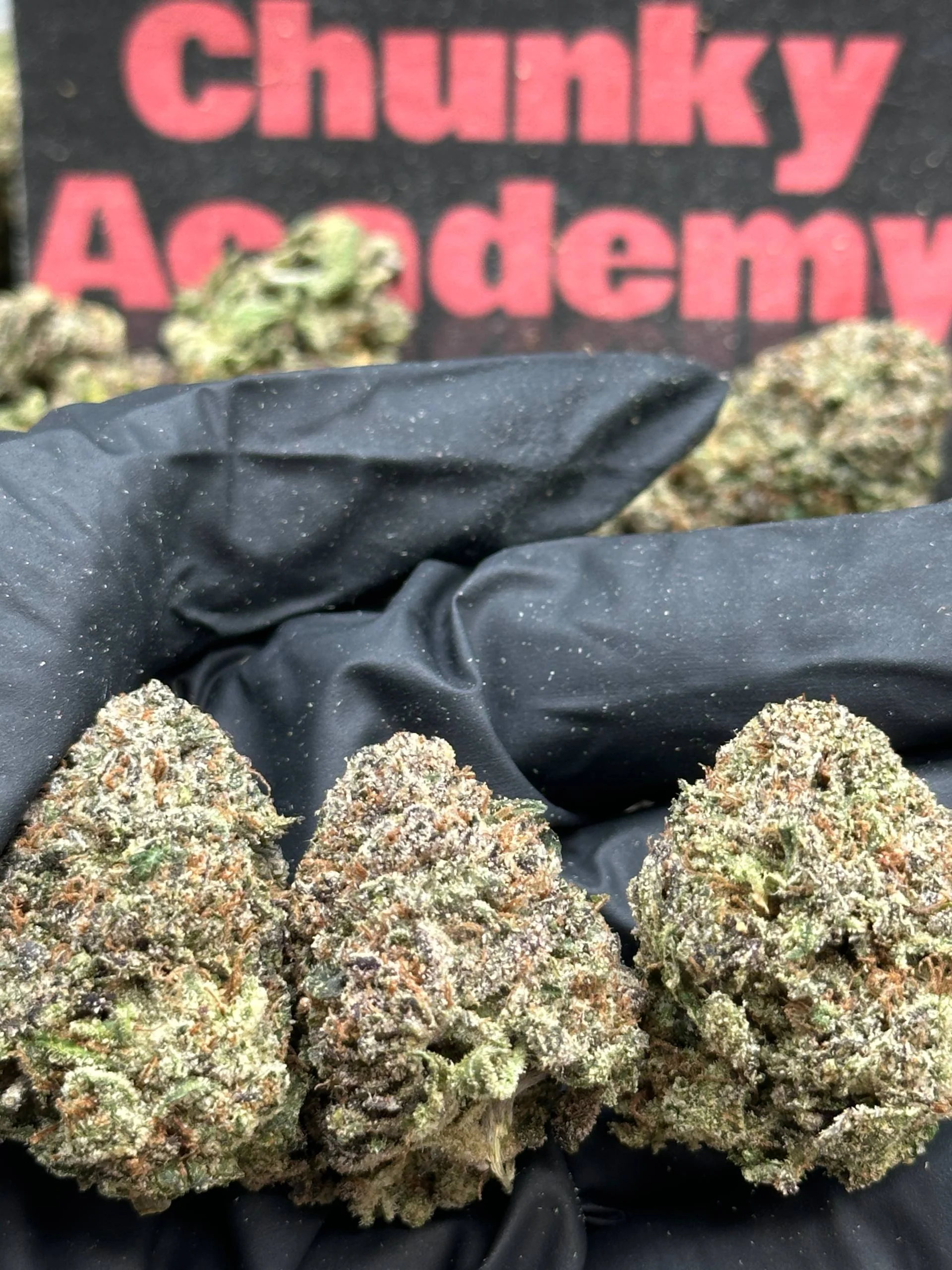 Indoor Super Exotics